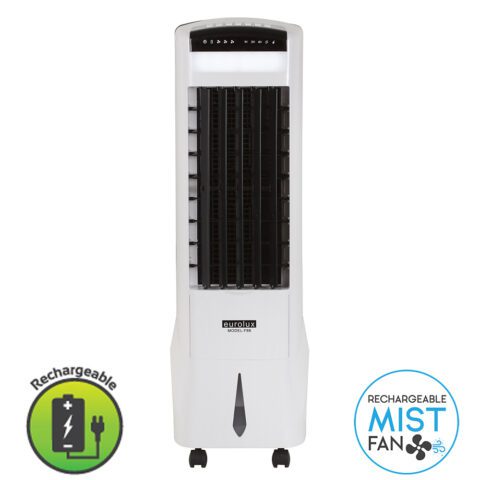 Portable Fan